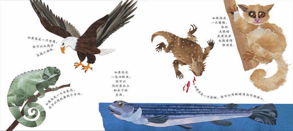 这样的尾巴可以做什么 (10),绘本,绘本故事,绘本阅读,故事书,童书,图画书,课外阅读